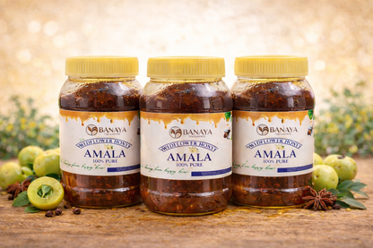 Honey Amla (தேன் நெல்லி) – 500 g
